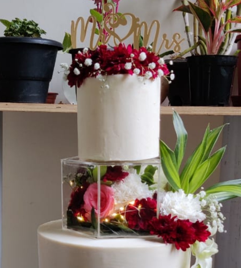 cake separator